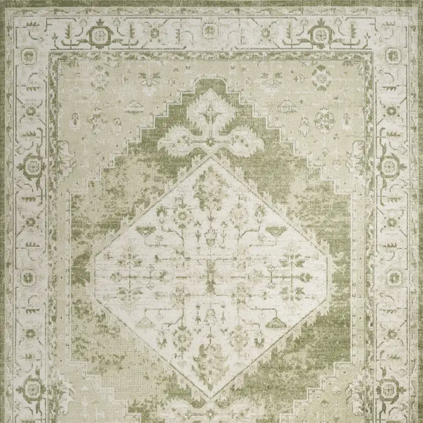 Sage And Ivory Floral Distressed Area Rug Photo 8