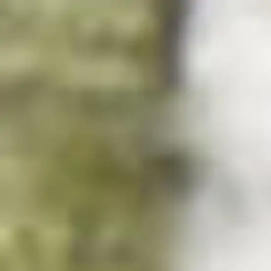 Sage And Ivory Floral Distressed Area Rug Photo 2