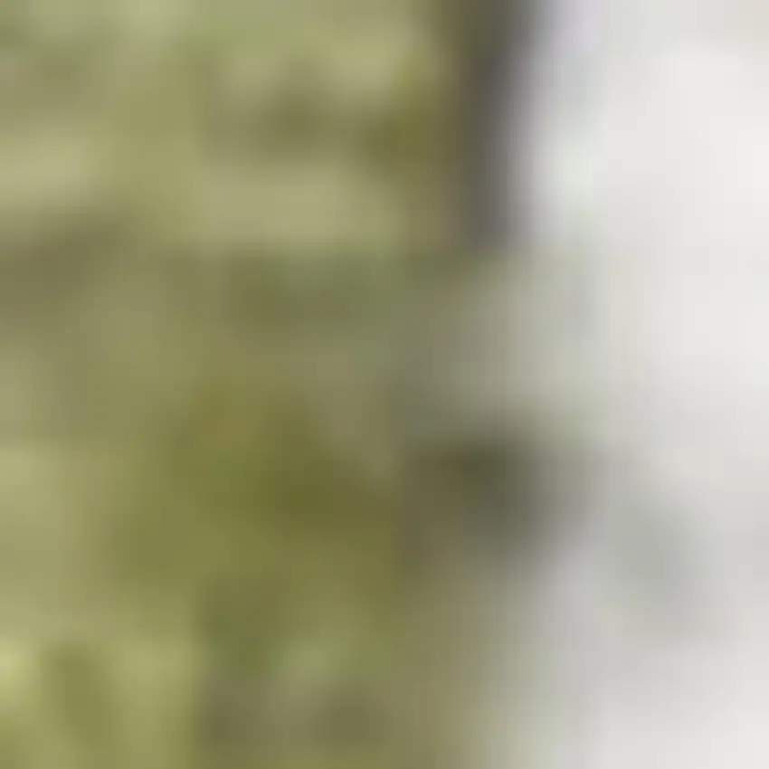 Sage And Ivory Floral Distressed Area Rug Photo 2