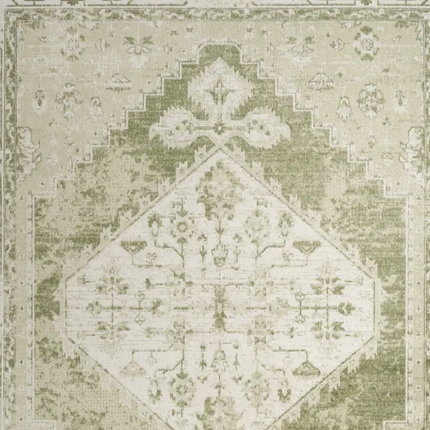 Sage And Ivory Floral Distressed Area Rug Photo 7