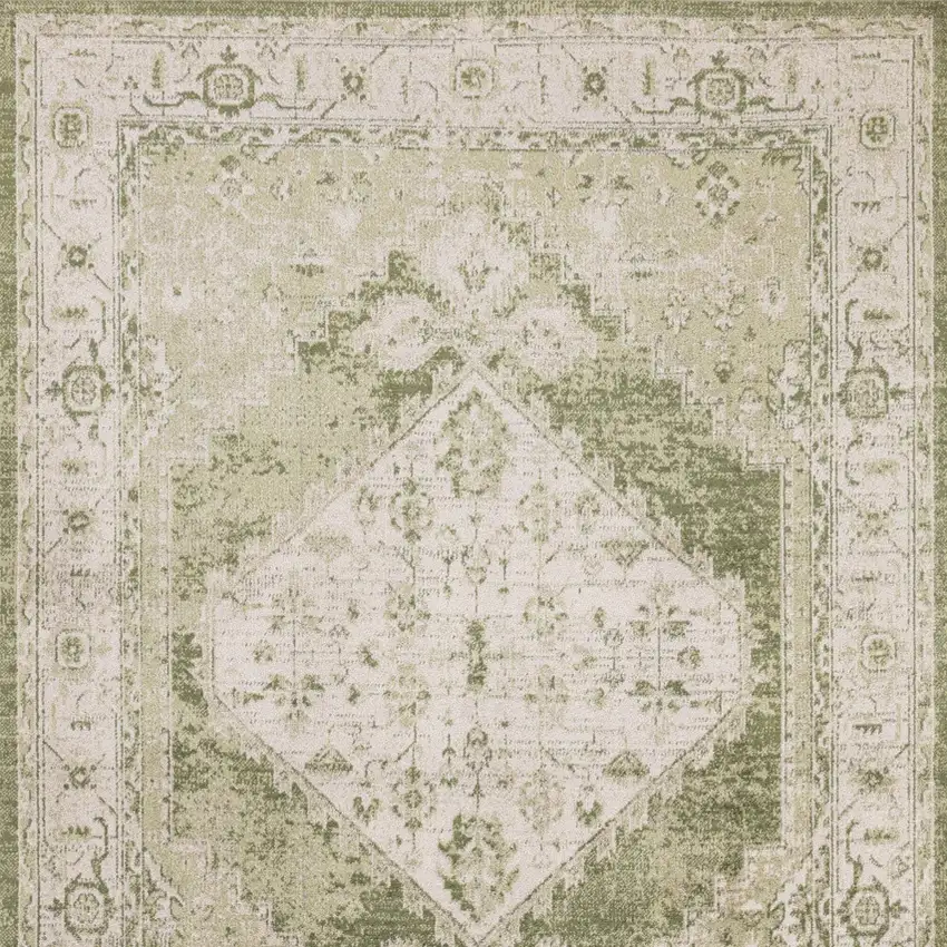 Sage And Ivory Floral Distressed Area Rug Photo 7