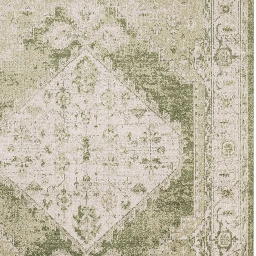 Sage And Ivory Floral Distressed Area Rug Photo 8