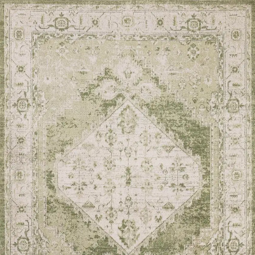 Sage And Ivory Floral Distressed Area Rug Photo 4