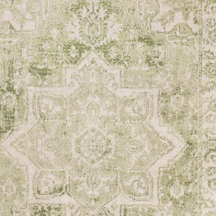 Sage And Ivory Floral Medallion Area Rug Photo 8