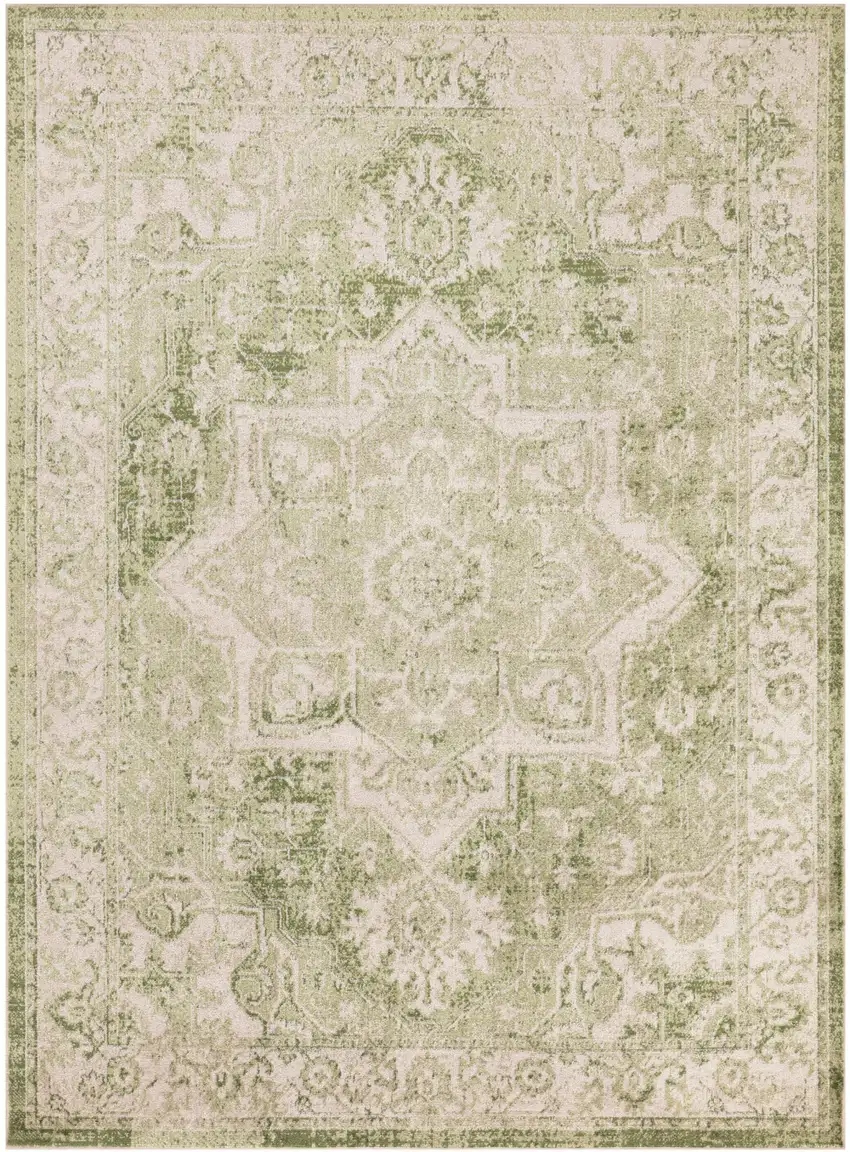 Sage And Ivory Floral Medallion Area Rug Photo 2