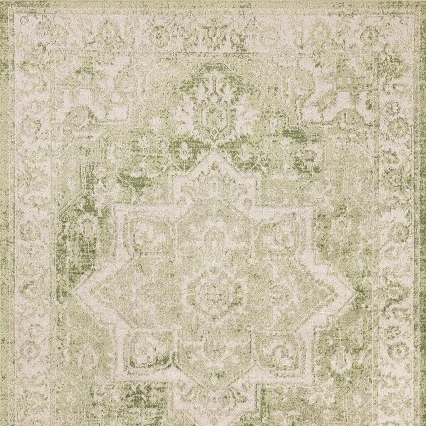 Sage And Ivory Floral Medallion Area Rug Photo 9