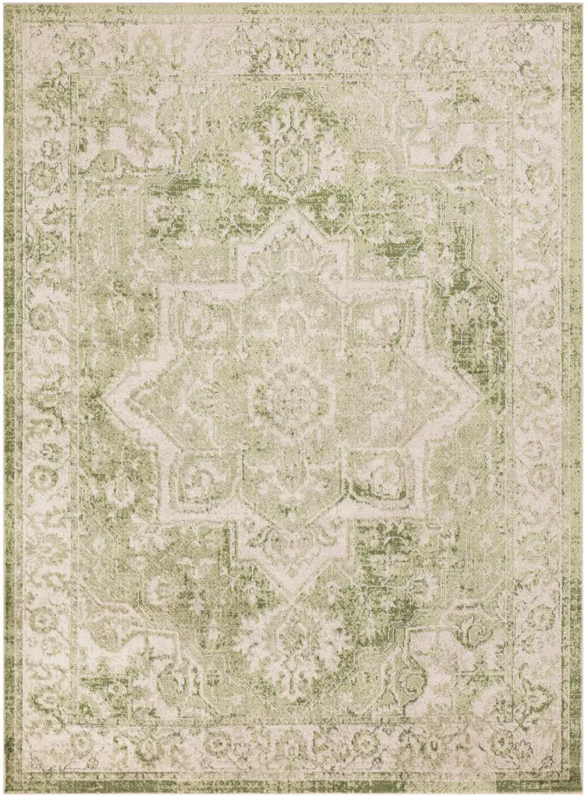 Sage And Ivory Floral Medallion Area Rug Photo 7