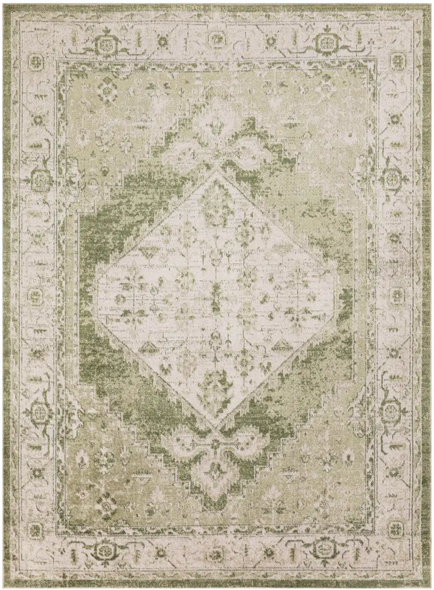 Sage And Ivory Floral Medallion Distressed Area Rug Photo 6