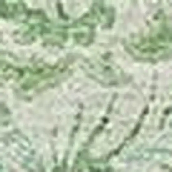 Sage And Ivory Floral Washable Area Rug With UV Protection Photo 4