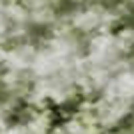 Sage And Ivory Oriental Washable Area Rug With UV Protection Photo 2