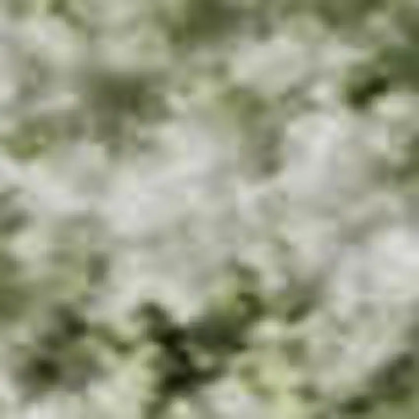 Sage And Ivory Oriental Washable Area Rug With UV Protection Photo 2