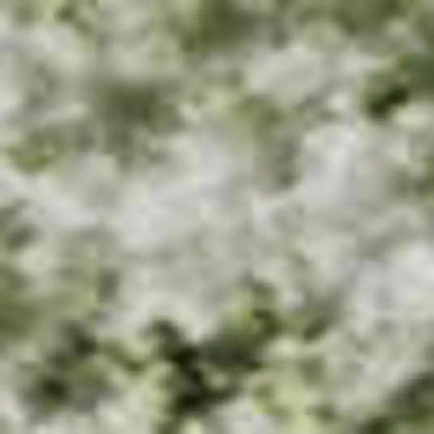 Sage And Ivory Oriental Washable Area Rug With UV Protection Photo 2