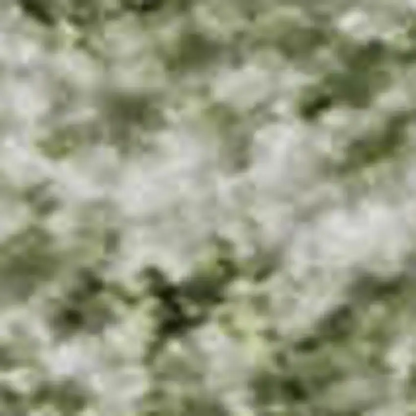 Sage And Ivory Oriental Washable Area Rug With UV Protection Photo 3