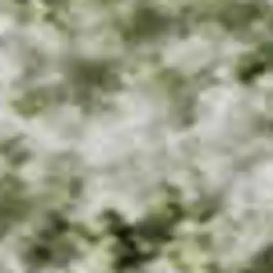 Sage And Ivory Oriental Washable Area Rug With UV Protection Photo 2