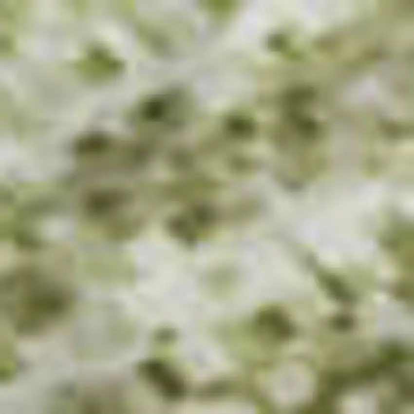 Sage And Taupe Abstract Washable Area Rug With UV Protection Photo 3