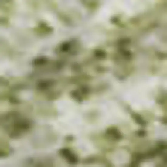 Sage And Taupe Abstract Washable Area Rug With UV Protection Photo 3