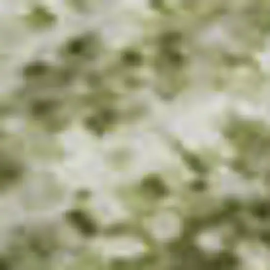 Sage And Taupe Abstract Washable Area Rug With UV Protection Photo 3