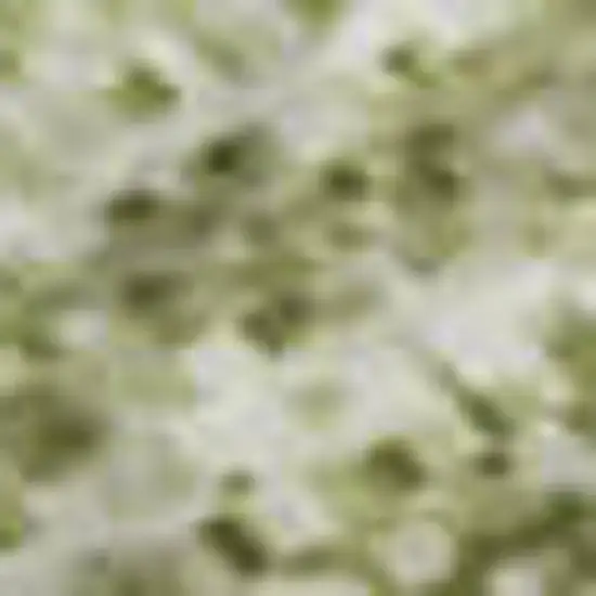 Sage And Taupe Abstract Washable Area Rug With UV Protection Photo 3