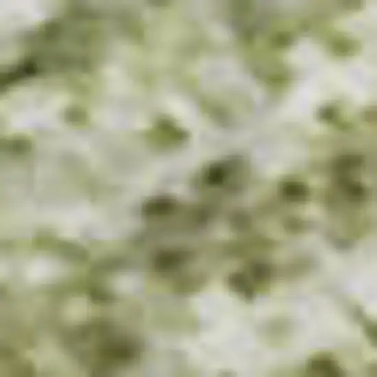 Sage And Taupe Abstract Washable Area Rug With UV Protection Photo 3