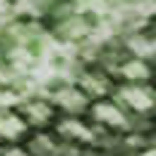 Sage And Teal Abstract Washable Area Rug With UV Protection Photo 1