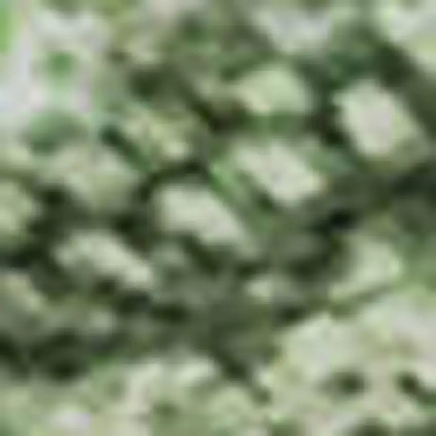 Sage And Teal Abstract Washable Area Rug With UV Protection Photo 1