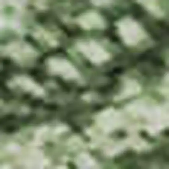 Sage And Teal Abstract Washable Area Rug With UV Protection Photo 1