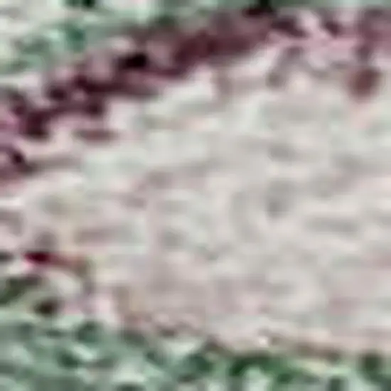 Sage Beige And Blue Floral Washable Area Rug With UV Protection Photo 3