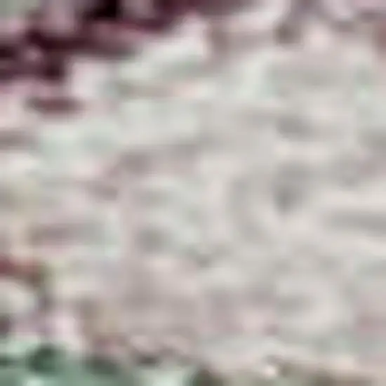 Sage Beige And Blue Floral Washable Area Rug With UV Protection Photo 2