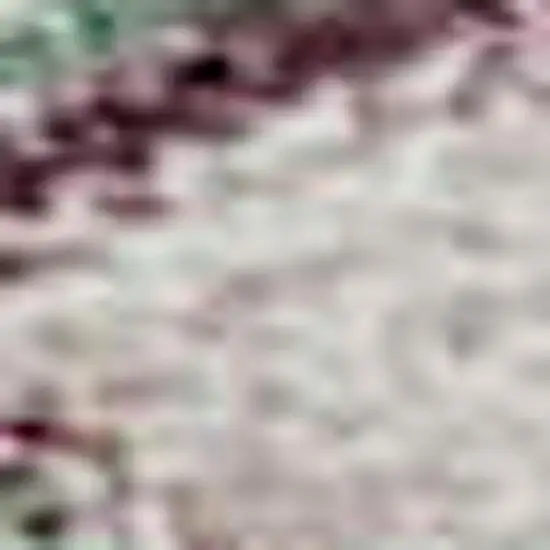 Sage Beige And Blue Floral Washable Area Rug With UV Protection Photo 3