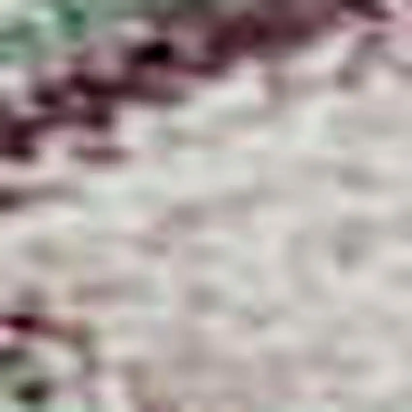 Sage Beige And Blue Floral Washable Area Rug With UV Protection Photo 3