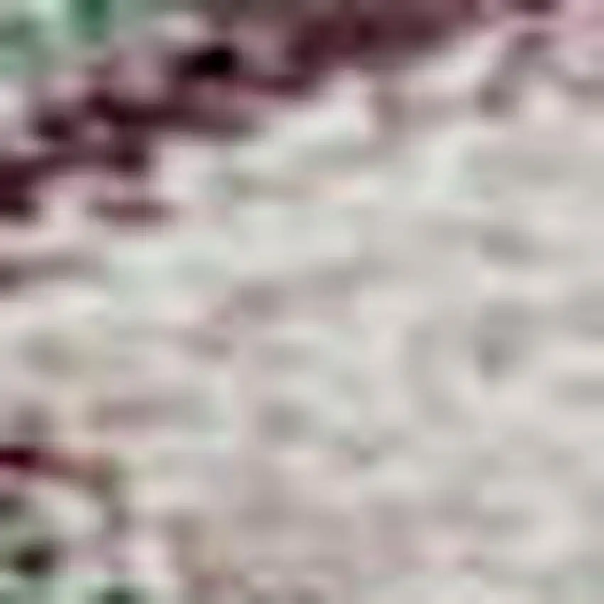 Sage Beige And Blue Floral Washable Area Rug With UV Protection Photo 2