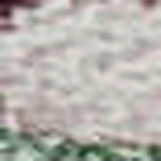 Sage Beige And Blue Floral Washable Area Rug With UV Protection Photo 2