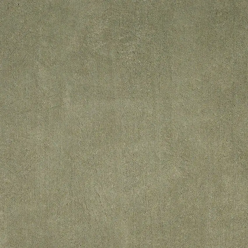 Sage Green Indoor Shag Rug Photo 4