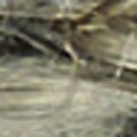 Sage Jute Flatweave Handmade Area Rug Photo 3