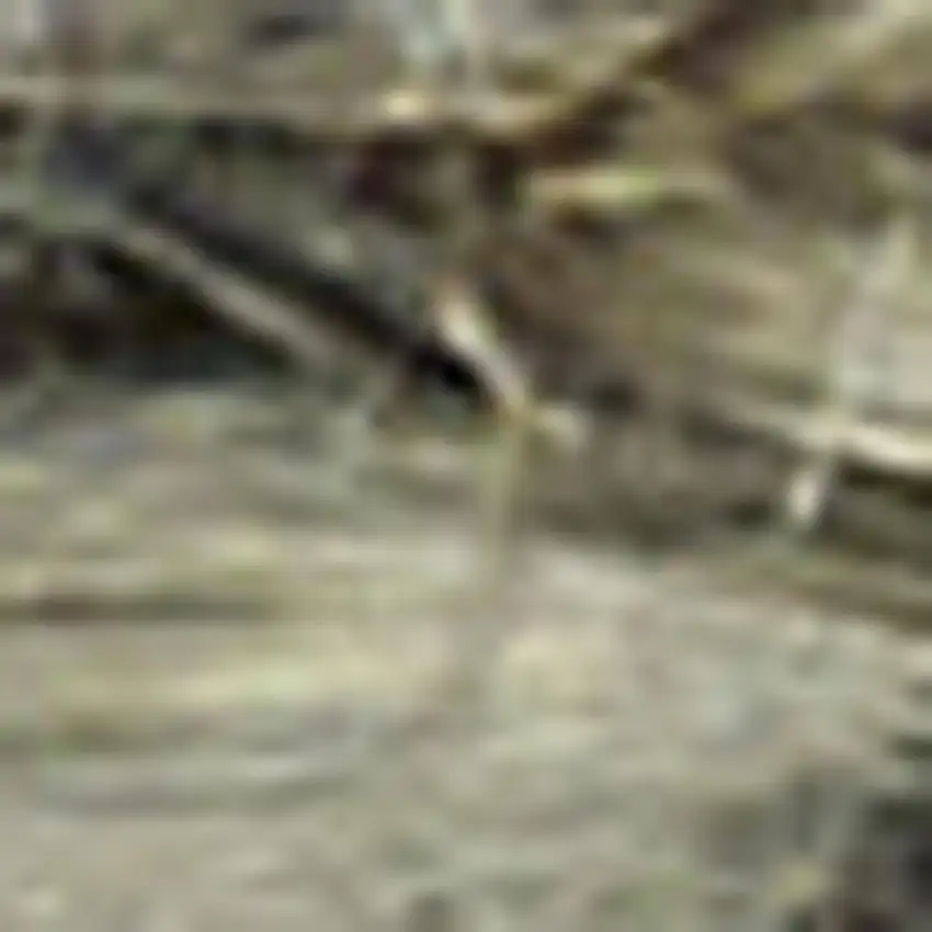 Sage Jute Flatweave Handmade Area Rug Photo 3