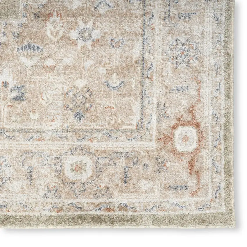 Sage Oriental Power Loom Distressed Washable Area Rug Photo 6