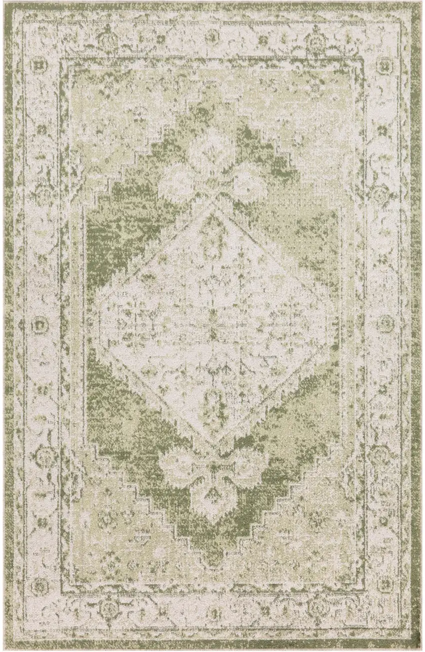 Sage Oriental Power Loom Distressed Washable Area Rug Photo 1