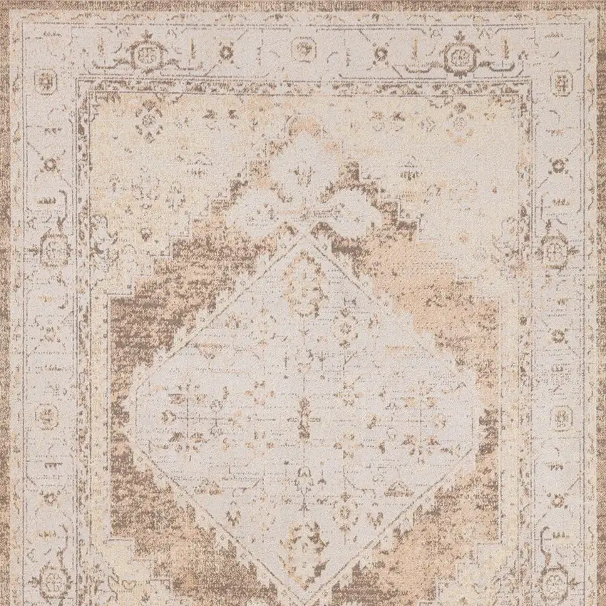 Sage Oriental Power Loom Distressed Washable Area Rug Photo 8