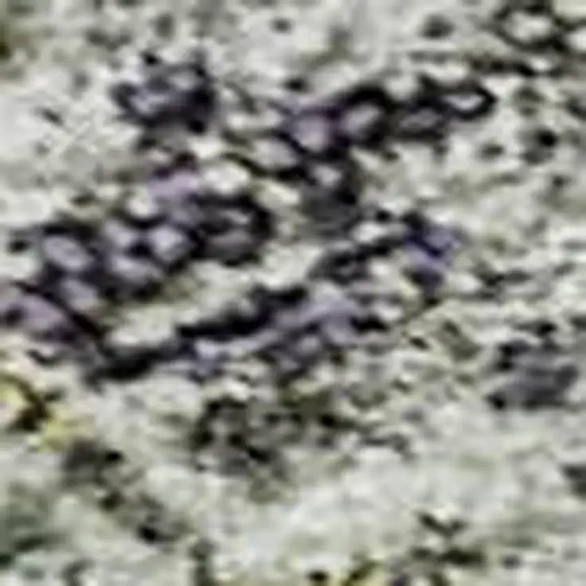 Sage Silver And Purple Tribal Washable Area Rug With UV Protection Photo 2