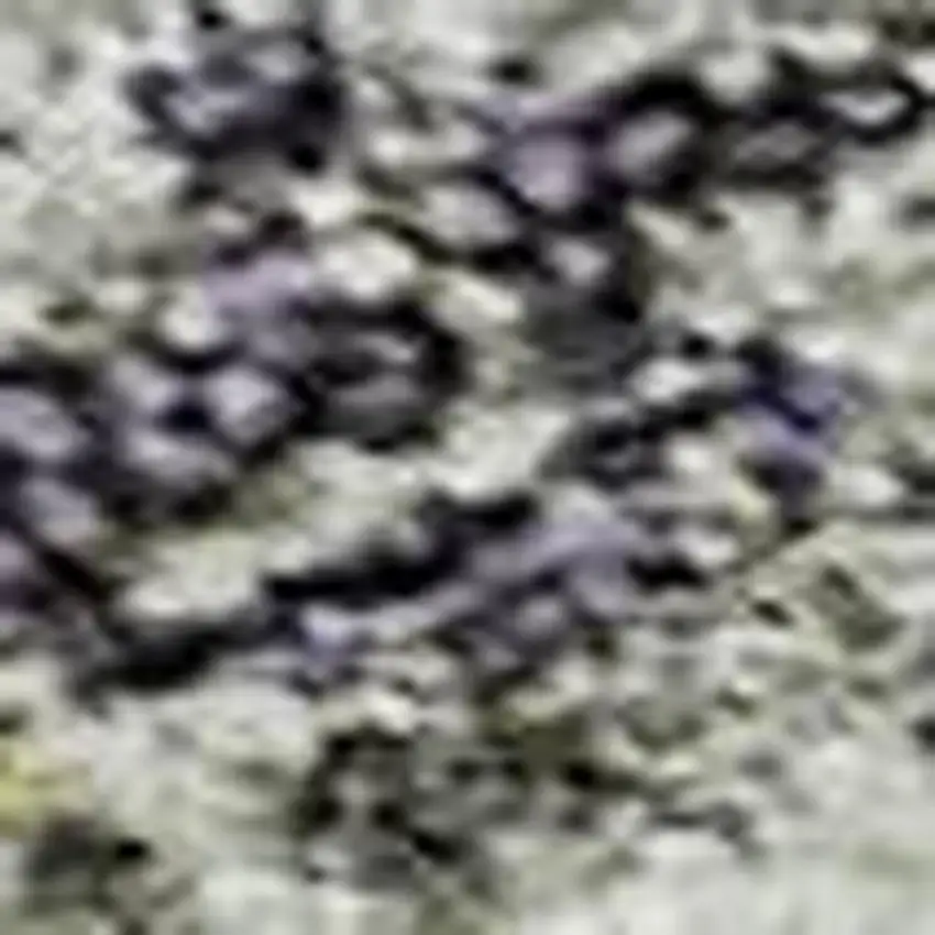 Sage Silver And Purple Tribal Washable Area Rug With UV Protection Photo 2