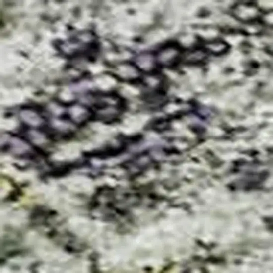 Sage Silver And Purple Tribal Washable Area Rug With UV Protection Photo 3