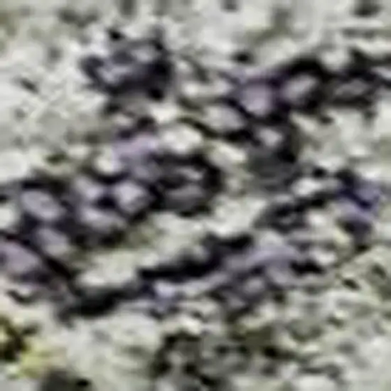 Sage Silver And Purple Tribal Washable Area Rug With UV Protection Photo 2