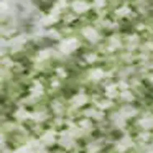 Photo of Sage Wheat And Ivory Abstract Washable Area Rug With UV Protection