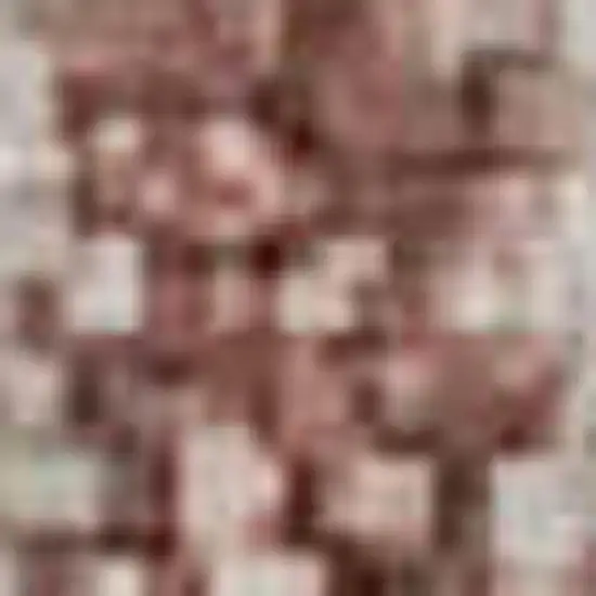 Salmon And Beige Geometric Washable Area Rug With UV Protection Photo 4