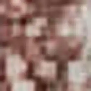 Photo of Salmon And Beige Geometric Washable Area Rug With UV Protection