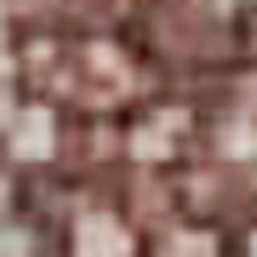 Salmon And Beige Geometric Washable Area Rug With UV Protection Photo 1