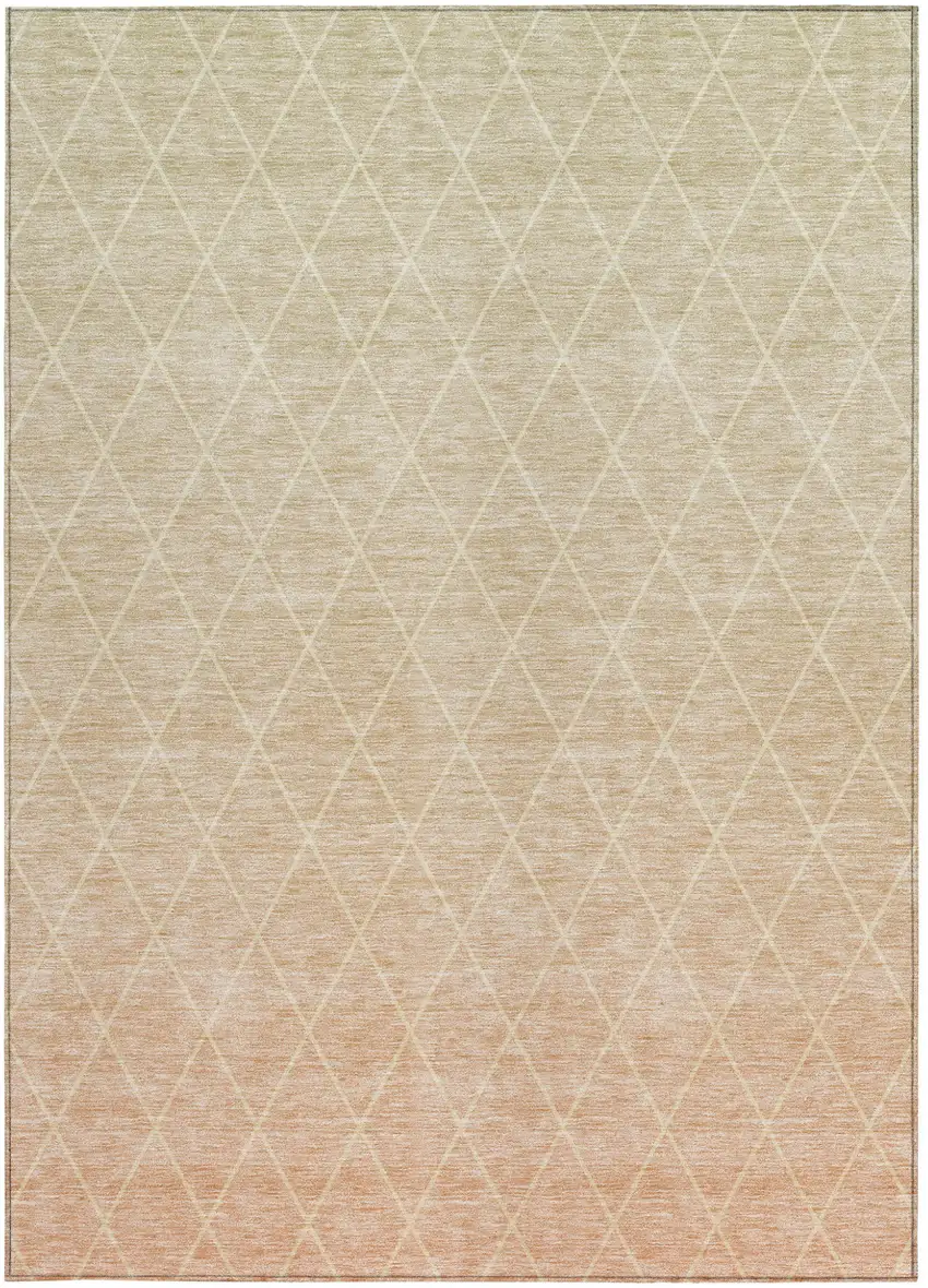 Salmon And Beige Geometric Washable Indoor Outdoor Area Rug Photo 7