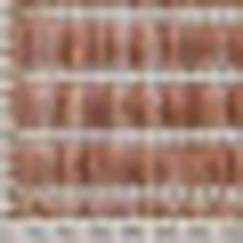 Salmon And Cream Geometric Indoor Outdoor Area Rug Photo 2