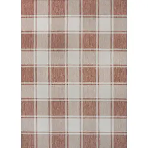 Photo of Salmon And Cream Gingham Indoor Outdoor Area Rug