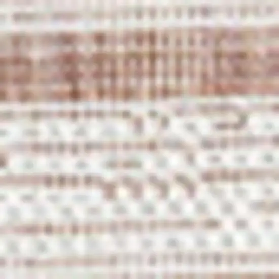 Salmon And Cream Indoor Outdoor Area Rug Photo 2